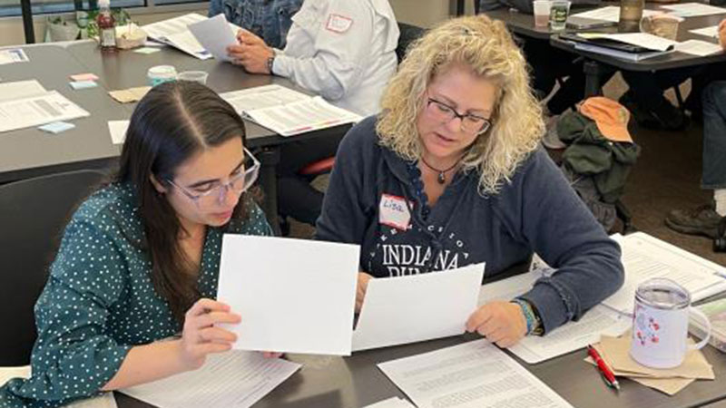 Groups of teachers working on a project