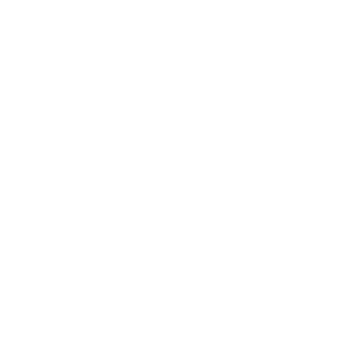 piggy bank icon